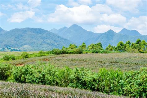 Malaybalay City – a serene highland retreat in Bukidnon.